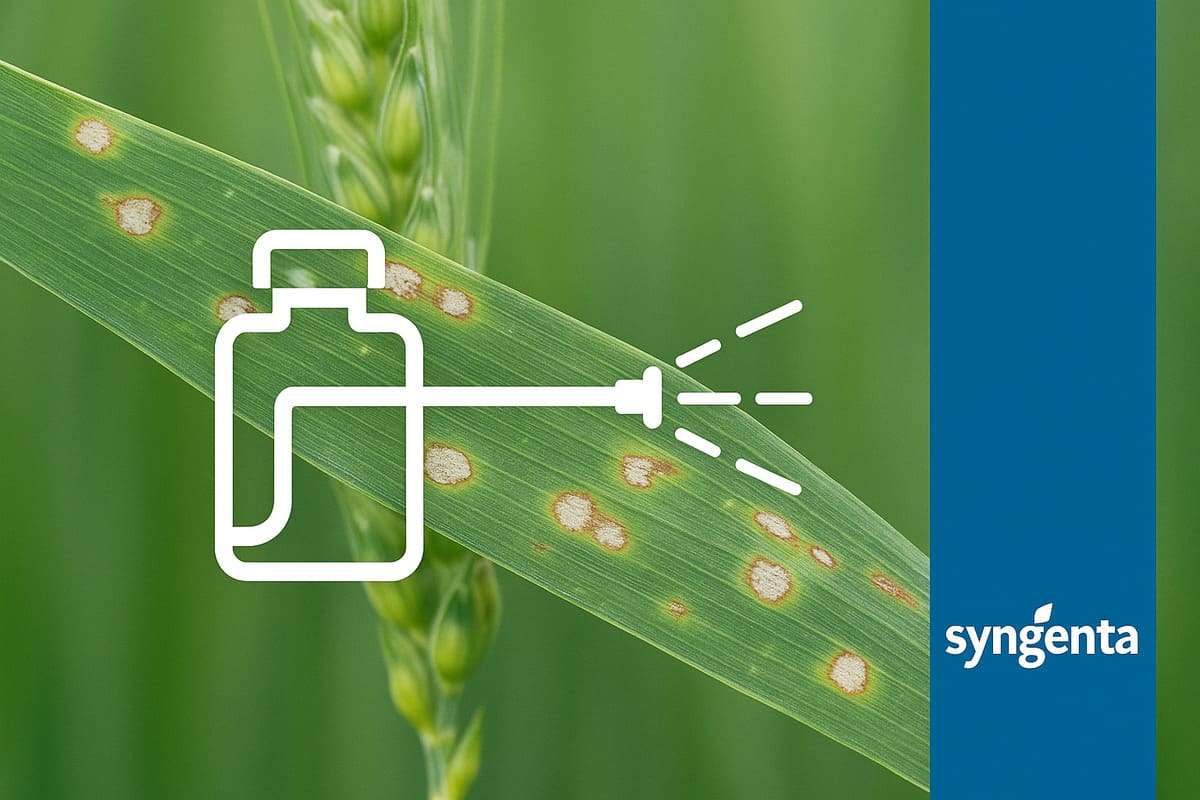 фунгіцидні препарати сингента